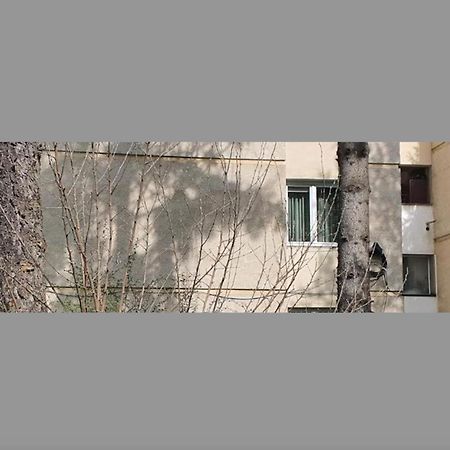 Maria'S Apartments Тиргу-Муреш Екстер'єр фото